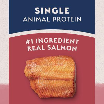 Natural Balance Limited Ingredient Salmon & Brown Rice Recipe Dry Dog Food