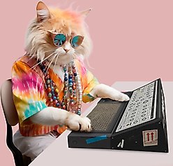 Suck UK Scratch Synth Cat Toy