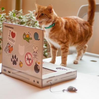 Show full view: Suck UK Cat Playhouse Laptop Scratch Pad slide 3 of 10