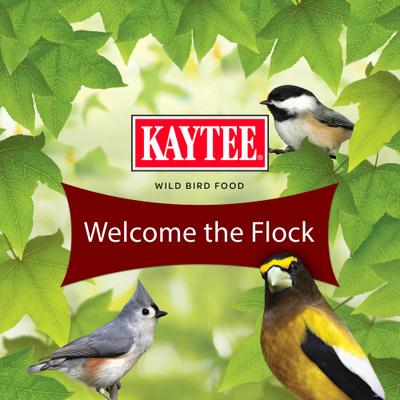 Show full view: Kaytee Songbird Blend, food for wild birds, 14-lb bag slide 8 of 11