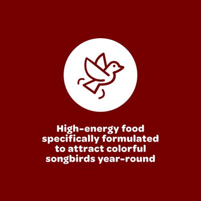 Show full view: Kaytee Songbird Blend, food for wild birds, 14-lb bag slide 4 of 11