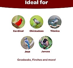 Kaytee Songbird Blend, food for wild birds, 14-lb bag slide 2 of 9