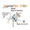 Show in main carousel: LupinePet Adopt Step-In Dog Harness, Large: 24 to 38-in chest, 1-in wide slide 2 of 6