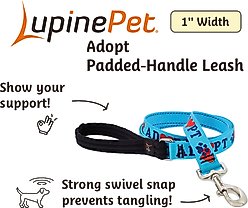LupinePet Adopt Padded Handle Dog Leash, Regular: 6-ft long, 1-in wide slide 2 of 5