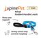 Show in main carousel: LupinePet Adopt Padded Handle Dog Leash, Regular: 6-ft long, 1-in wide slide 2 of 5