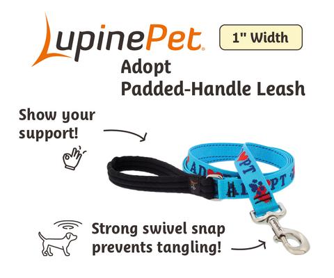 Show full view: LupinePet Adopt Padded Handle Dog Leash, Regular: 6-ft long, 1-in wide slide 2 of 5