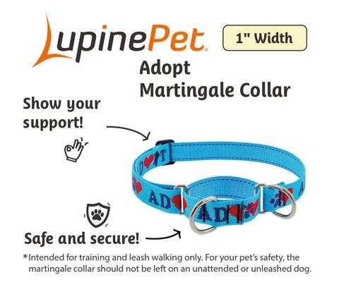Show full view: LupinePet Adopt Martingale Dog Collar, Large: 15 to 22-in neck, 1-in wide slide 2 of 6