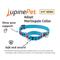 Show in main carousel: LupinePet Adopt Martingale Dog Collar, Small: 10 to 14-in neck, 3/4-in wide slide 3 of 7