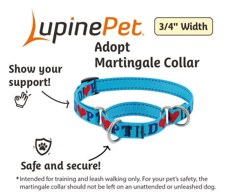 Show full view: LupinePet Adopt Martingale Dog Collar, Small: 10 to 14-in neck, 3/4-in wide slide 3 of 7
