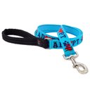 LupinePet Adopt Padded Handle Dog Leash, Regular: 6-ft long, 1-in wide