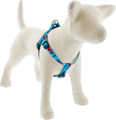 LupinePet Adopt Step-In Dog Harness, Medium/Large: 20 to 30-in chest, 3/4-in wide
