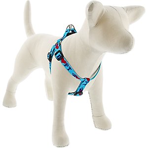 LupinePet Original Designs Jelly Roll Step In Dog Harness