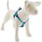 Show in main carousel: LupinePet Adopt Step-In Dog Harness, Medium/Large: 20 to 30-in chest, 3/4-in wide slide 1 of 7