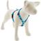 Show in main carousel: LupinePet Adopt Adjustable Dog Harness, Medium: 14 to 24-in chest, 3/4-in wide slide 1 of 7