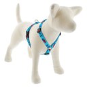 LupinePet Adopt Adjustable Dog Harness, Medium: 14 to 24-in chest, 3/4-in wide
