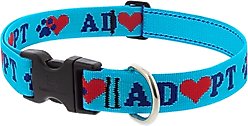LupinePet Adopt Dog Collar, X-Large: 25 to 31-in neck, 1-in wide