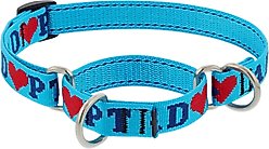 LupinePet Adopt Martingale Dog Collar, Small: 10 to 14-in neck, 3/4-in wide