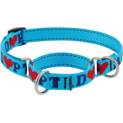 LupinePet LupinePet Adopt Martingale Dog Collar, Small: 10 to 14-in neck, 3/4-in wide