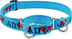 LupinePet Adopt Martingale Dog Collar, X-Large: 19 to 27-in neck, 1-in wide