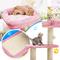 Show in main carousel: PXZEE 33-in Cat Tree & Condo, Colorful slide 3 of 5