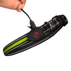 Sherry Kline Pet Collection LED Dog Collar, Green, Medium: 14 to 20-in neck, 3/4-in wide