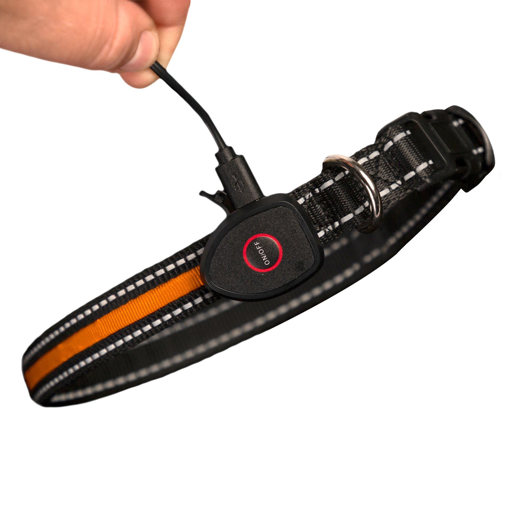 Sherry Kline Pet Collection LED Dog Collar, Orange, Large: 16 to 26-in neck, 3/4-in wide
