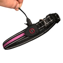 Sherry Kline Pet Collection LED Dog Collar, Pink, Medium: 14 to 20-in neck, 3/4-in wide