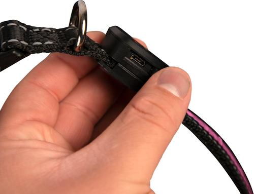 Show full view: Sherry Kline Pet Collection LED Dog Collar, Pink, Large: 16 to 26-in neck, 3/4-in wide slide 3 of 5