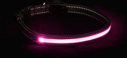 Show full view: Sherry Kline Pet Collection LED Dog Collar, Pink, Large: 16 to 26-in neck, 3/4-in wide slide 5 of 5