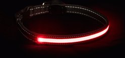 Sherry Kline Pet Collection LED Dog Collar, Red, Medium: 14 to 20-in neck, 3/4-in wide slide 2 of 5
