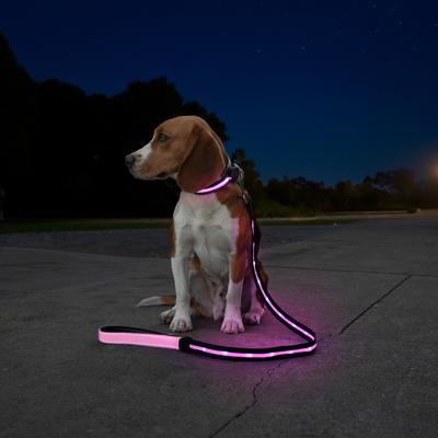 Show full view: Sherry Kline Pet Collection LED Dog Collar, Pink, Large: 16 to 26-in neck, 3/4-in wide slide 4 of 5