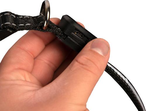 Show full view: Sherry Kline Pet Collection LED Dog Collar, White, Small: 10 to 16-in neck, 3/4-in wide slide 2 of 4