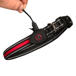 Sherry Kline Pet Collection LED Dog Collar, Red, Medium: 14 to 20-in neck, 3/4-in wide