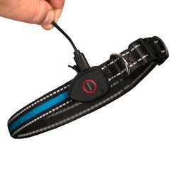 Sherry Kline Pet Collection LED Dog Collar, Blue, Large: 16 to 26-in neck, 3/4-in wide