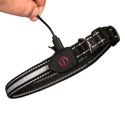 Sherry Kline Pet Collection LED Dog Collar, White, Small: 10 to 16-in neck, 3/4-in wide slide 1 of 4