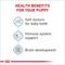 Show in main carousel: Royal Canin Size Health Nutrition Small Puppy Thin Slices in Gravy Wet Dog Food, 5.1-oz can, case of 24 slide 5 of 12