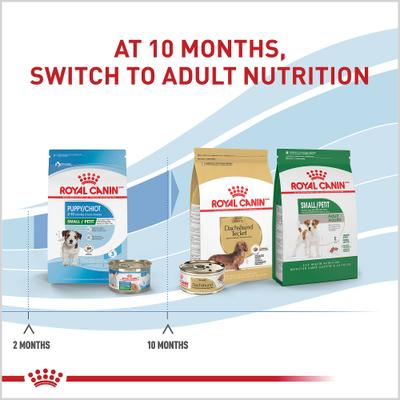 Show full view: Royal Canin Size Health Nutrition Small Puppy Thin Slices in Gravy Wet Dog Food, 5.1-oz can, case of 24 slide 7 of 12