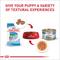 Show in main carousel: Royal Canin Size Health Nutrition Small Puppy Thin Slices in Gravy Wet Dog Food, 5.1-oz can, case of 24 slide 6 of 12