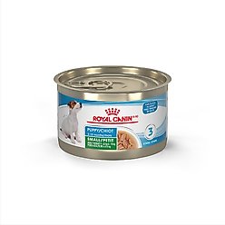 Royal Canin Size Health Nutrition Small Puppy Thin Slices in Gravy Wet Dog Food, 5.1-oz can, case of 24