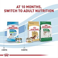 Royal Canin Size Health Nutrition X-Small Puppy Thin Slices in Gravy Wet Dog Food, 3-oz, case of 12 slide 2 of 9