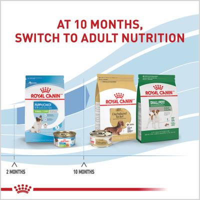 Show full view: Royal Canin Size Health Nutrition X-Small Puppy Thin Slices in Gravy Wet Dog Food, 3-oz, case of 12 slide 6 of 13