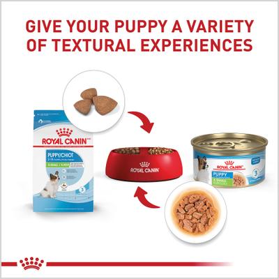 Show full view: Royal Canin Size Health Nutrition X-Small Puppy Thin Slices in Gravy Wet Dog Food, 3-oz, case of 12 slide 5 of 13
