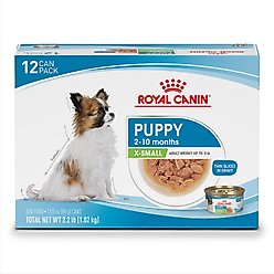 Royal Canin Size Health Nutrition X-Small Puppy Thin Slices in Gravy Wet Dog Food, 3-oz, case of 12