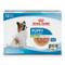 Show in main carousel: Royal Canin Size Health Nutrition X-Small Puppy Thin Slices in Gravy Wet Dog Food, 3-oz, case of 12 slide 1 of 13