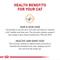 Show in main carousel: Royal Canin Feline Care Nutrition Hair & Skin Care Dry Cat Food, 3-lb bag slide 4 of 11
