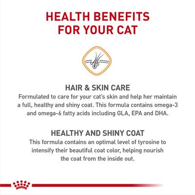 Show full view: Royal Canin Feline Care Nutrition Hair & Skin Care Dry Cat Food, 3-lb bag slide 4 of 11
