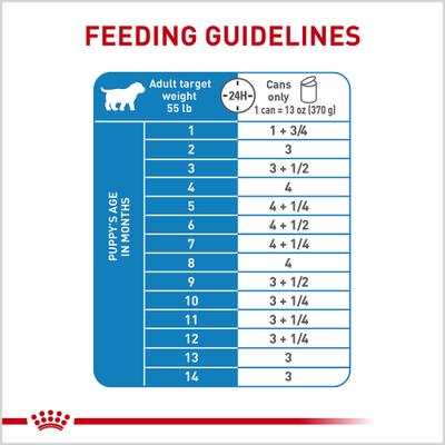 Show full view: Royal Canin Size Health Nutrition Large Puppy Thin Slices in Gravy Wet Dog Food, 13-oz, case of 12 slide 9 of 12