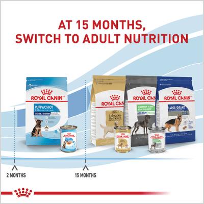 Show full view: Royal Canin Size Health Nutrition Large Puppy Thin Slices in Gravy Wet Dog Food, 13-oz, case of 12 slide 7 of 12