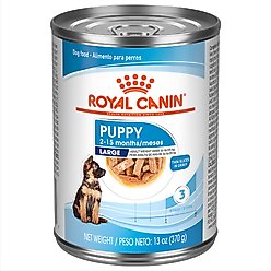 Royal Canin Size Health Nutrition Large Puppy Thin Slices in Gravy Wet Dog Food, 13-oz, case of 12