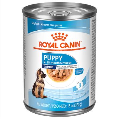 ROYAL CANIN Size Health Nutrition Large Puppy Thin Slices in